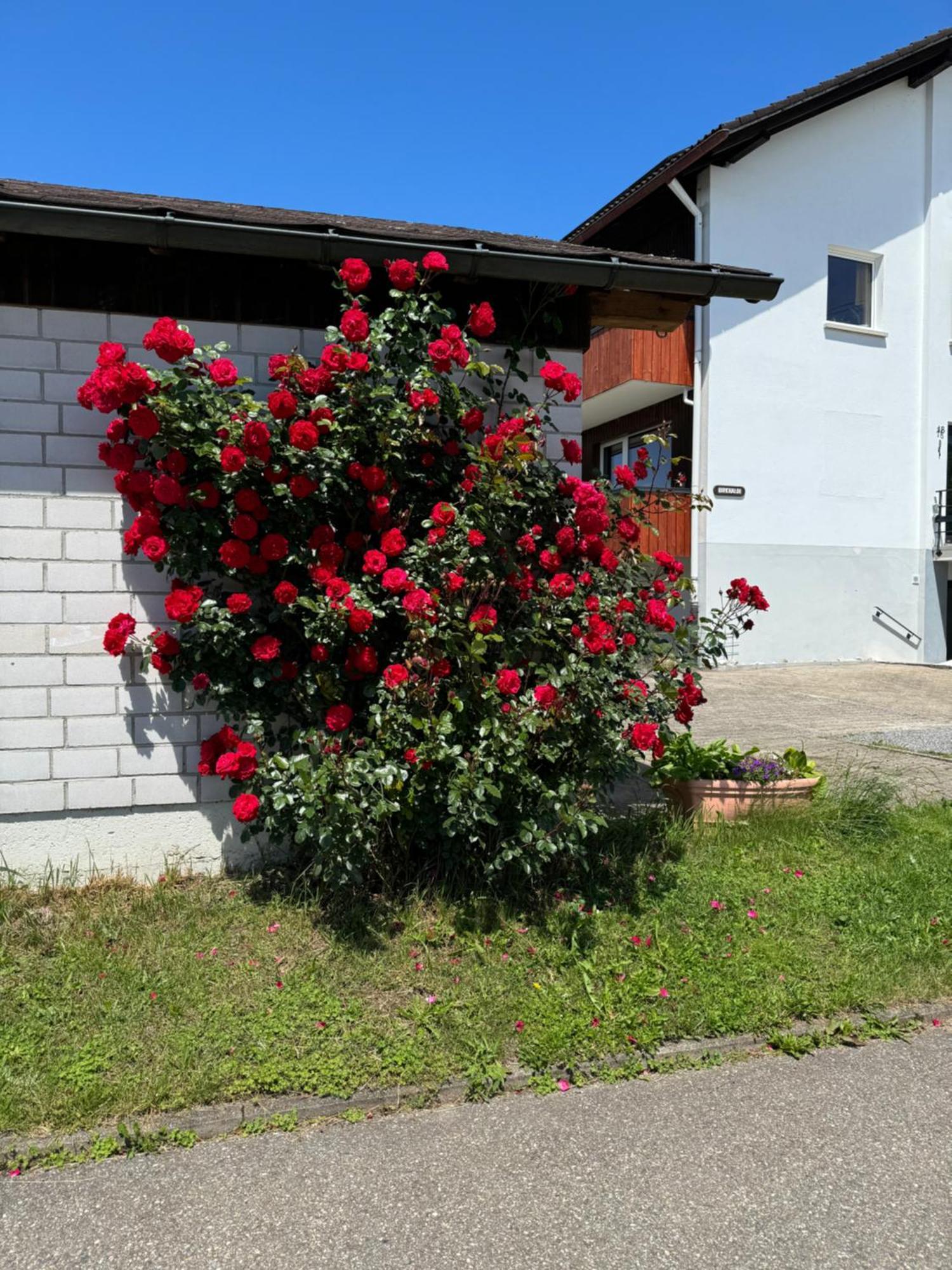 Haus Waldeck Apartment uhlingen Birkendorf Bagian luar foto